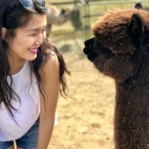 Meet your Posher, Tao